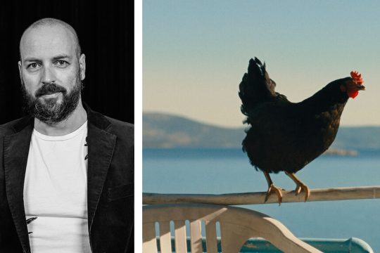 gyorgi palfi - hen - kota